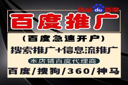 SEM竞价开户流程详解：成功案例解析